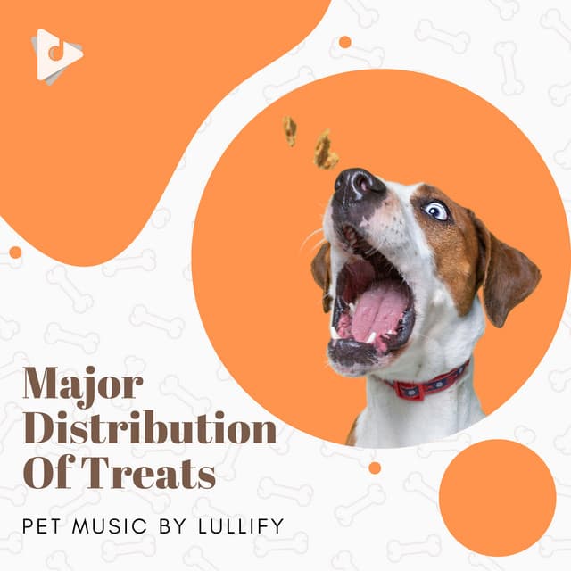 Major Distribution Of Treats - Pet Music by Lullify