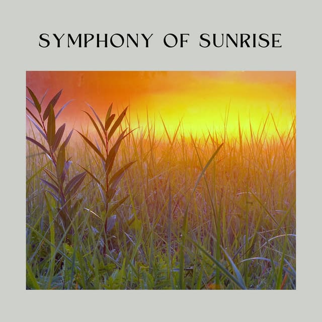 Symphony of Sunrise - Meditative Music Guru