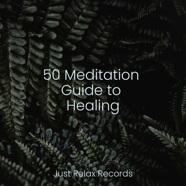 50 Meditation Guide to Healing - Bedtime Baby