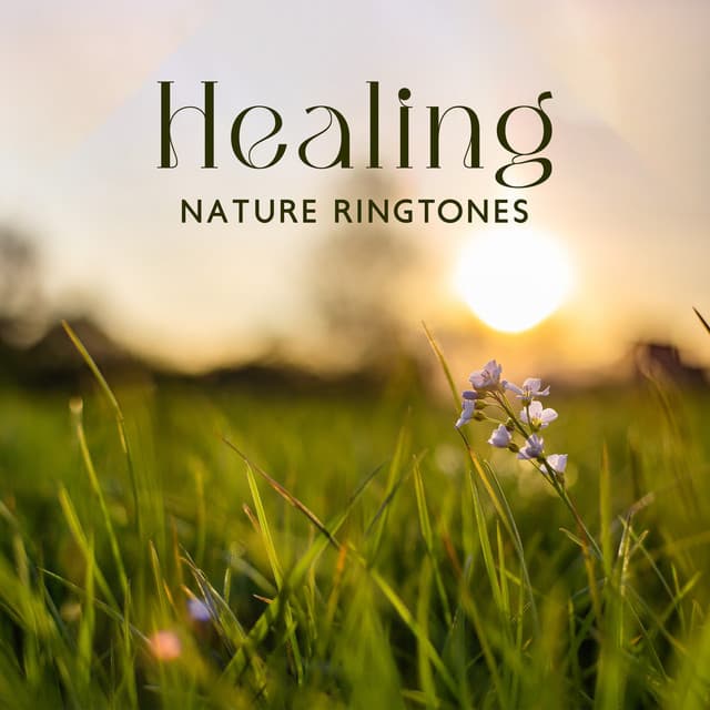 Healing Nature Ringtones: Stress Free Therapy, Stress Relieving, Better Mood - Eni Gravity