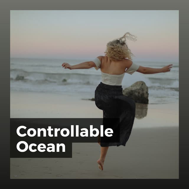 Controllable Ocean - Relaxing Sea Sounds