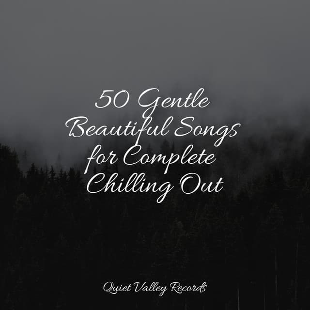 50 Gentle Beautiful Songs for Complete Chilling Out - The Rainforest Collective