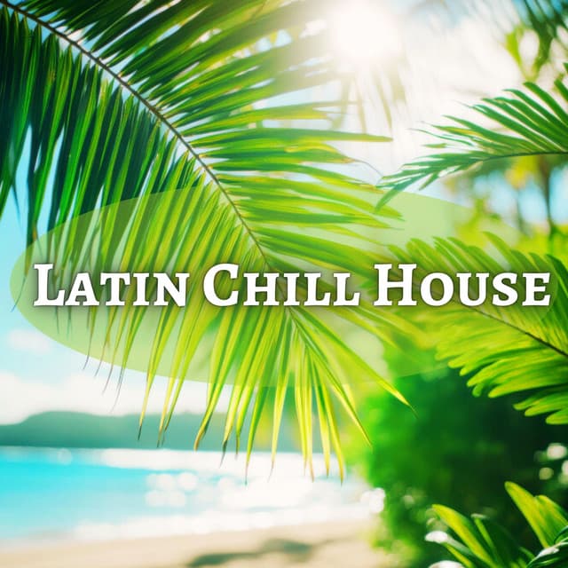Ritmo Sin Fronteras: Latin Chill House Vibes 2024 - Pedro EL Loco