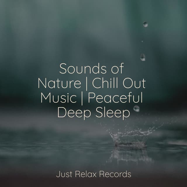Sounds of Nature | Chill Out Music | Peaceful Deep Sleep - Easy Sleep Music