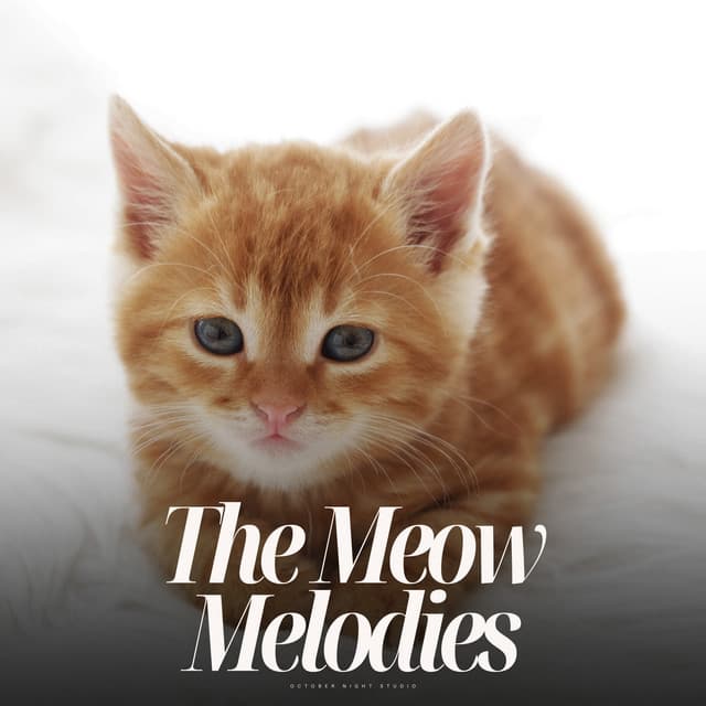The Meow Melodies - The Cat Relaxer