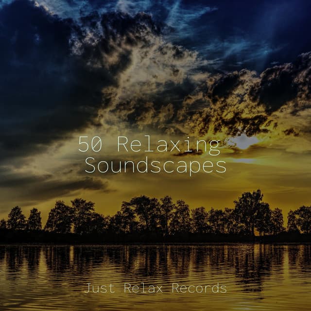 50 Relaxing Soundscapes - Yoga Music