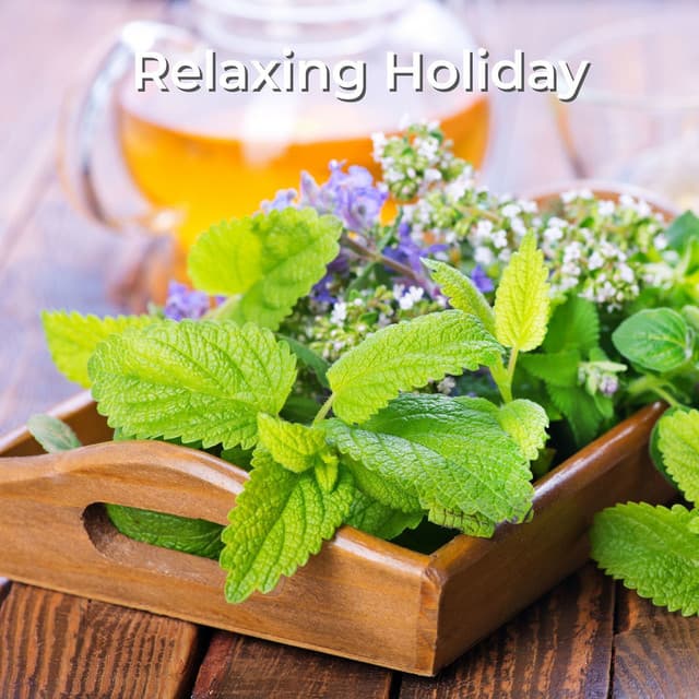 Relaxing Holiday - Soulful Symphony