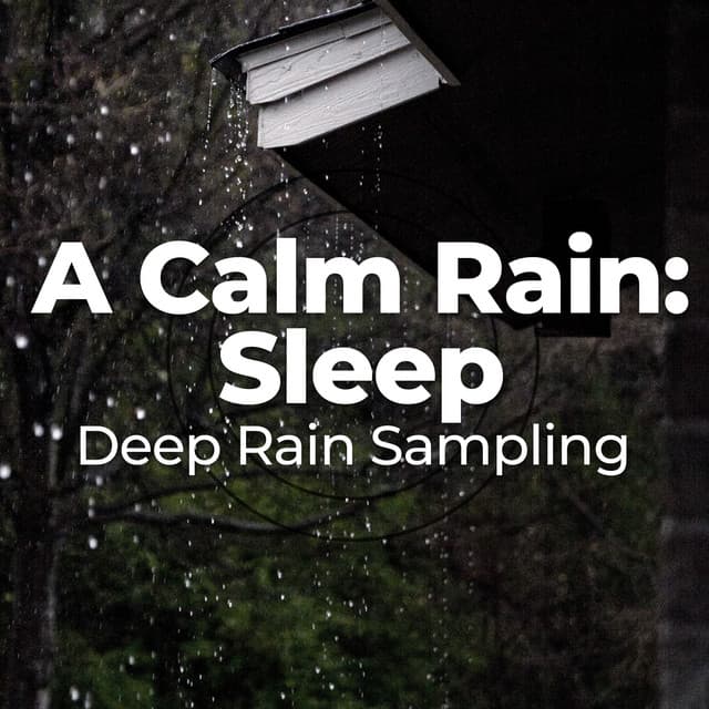 A Calm Rain: Sleep - Deep Rain Sampling