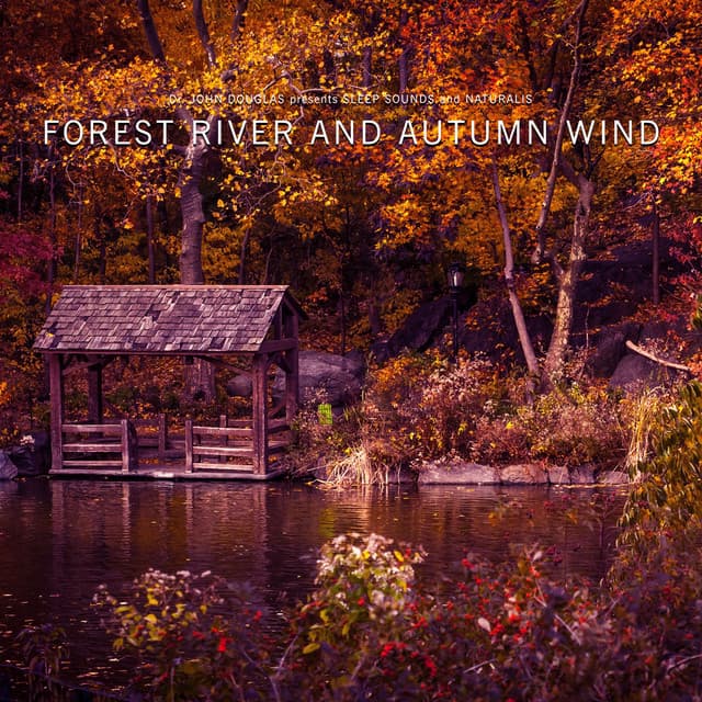 Forest River and Autumn Wind - Dr. John Douglas