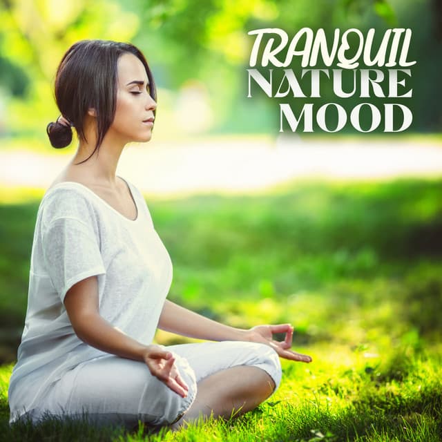 Tranquil Nature Mood: Calming Sounds of Nature for Meditation - Zen Soothing Sounds of Nature