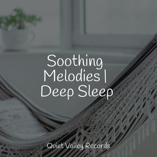 Soothing Melodies | Deep Sleep - Music For Absolute Sleep