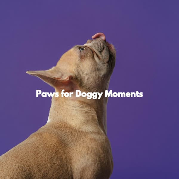 Paws for Doggy Moments - Jazz for Dogs