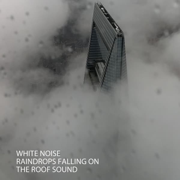 White Noise: Raindrops Falling On The Roof Sound - White Noise Android