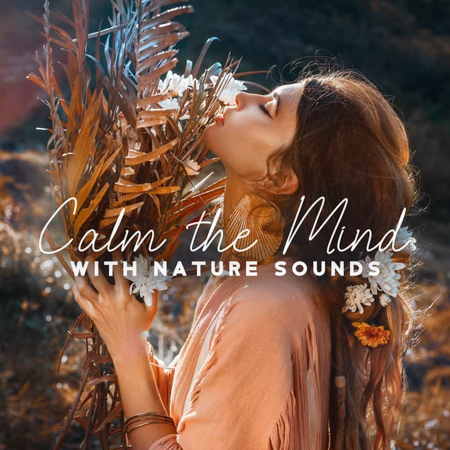 Calm the Mind with Nature Sounds - Relaxing Nature Sounds Collection