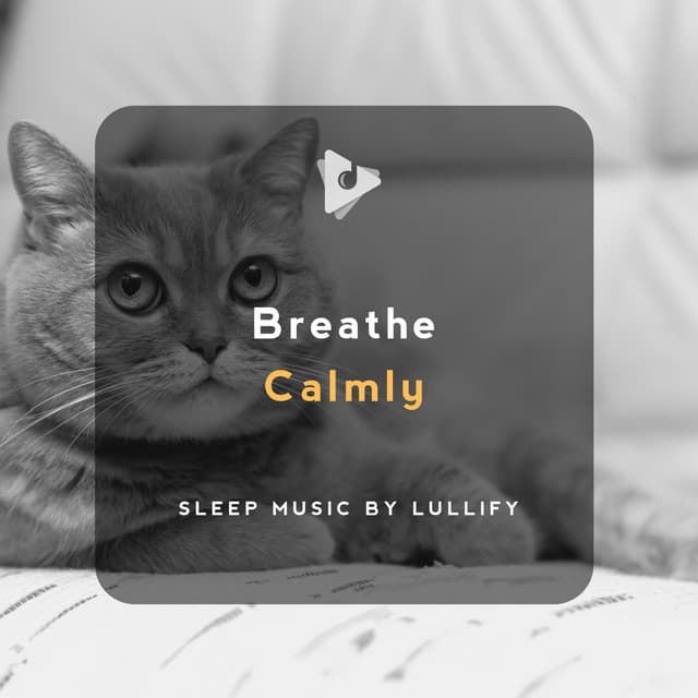 Breathe Calmly - Sleep Music by Lullify