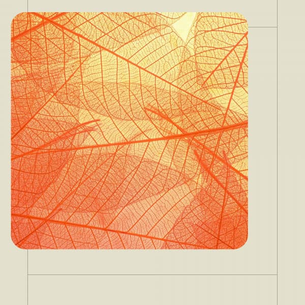 Music for Chill Day - Trumpet and Alto Sax - Sunday Brunch Music