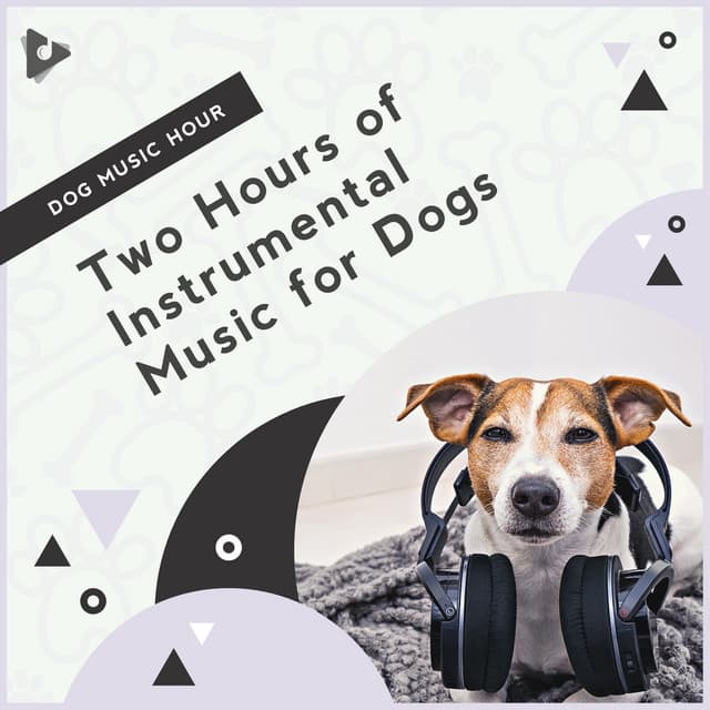 2 Hours of Instrumental Music for Dogs - Dog Music Hour