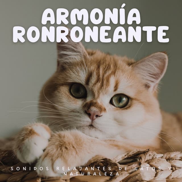 Armonía Ronroneante: Sonidos Relajantes de Gatos y Naturaleza - La naturaleza llama