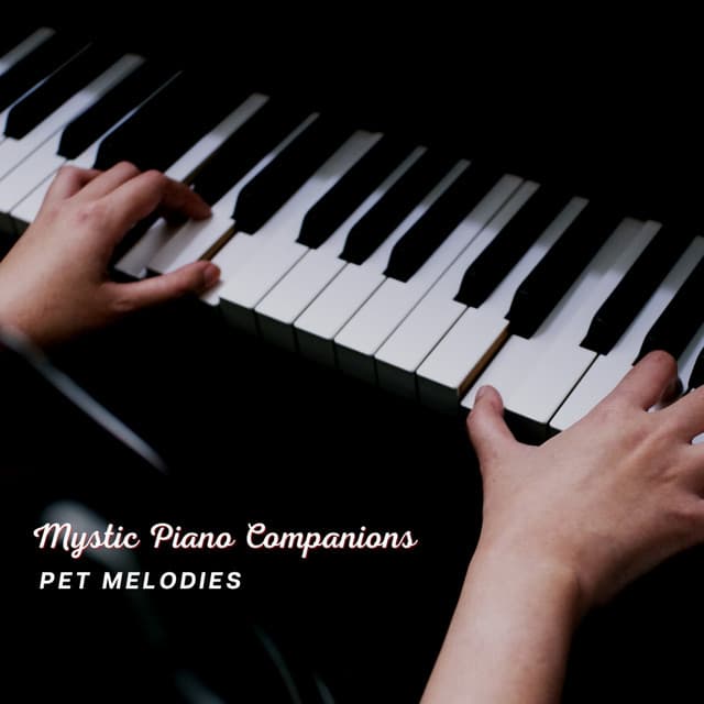 Mystic Piano Companions: Pet Melodies - Classic Chillout