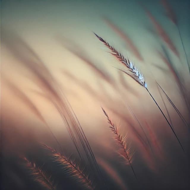 10 Keys to Calm: Captivating Piano Solos - Philippe Miles