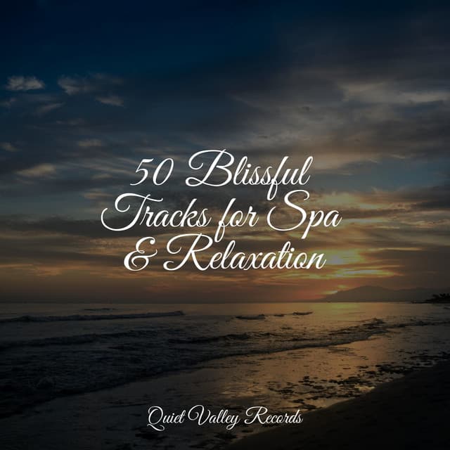 50 Blissful Tracks for Spa & Relaxation - Thunder Storm