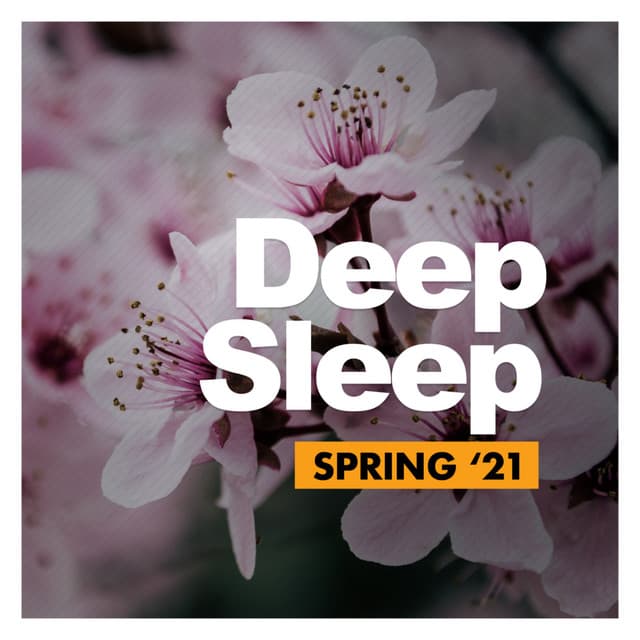 Deep Sleep - Rain Recordings
