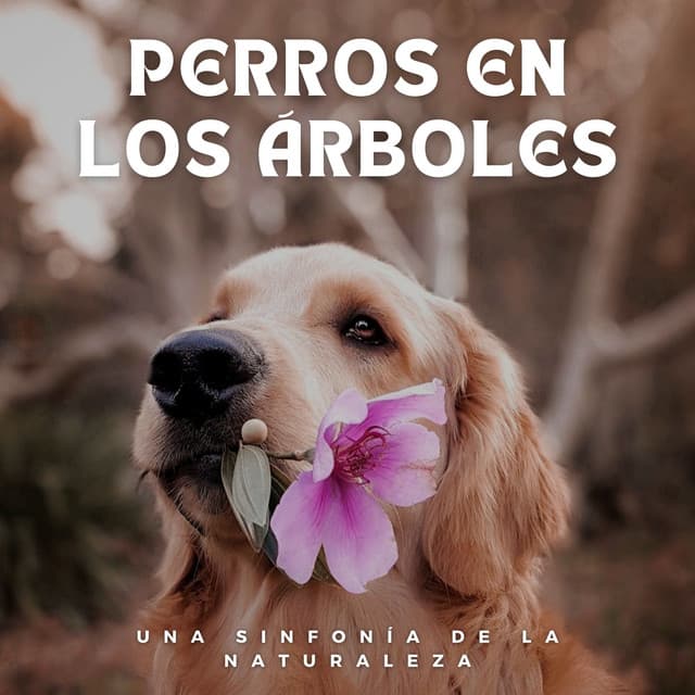 Perros en los Árboles: Una Sinfonía de la Naturaleza - Los paisajes sonoros de la naturaleza