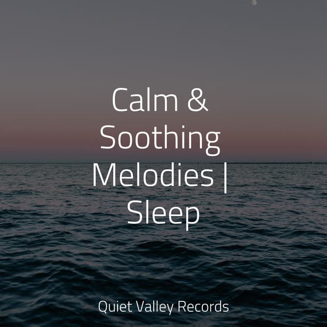 Calm & Soothing Melodies | Sleep - Ambient Arena