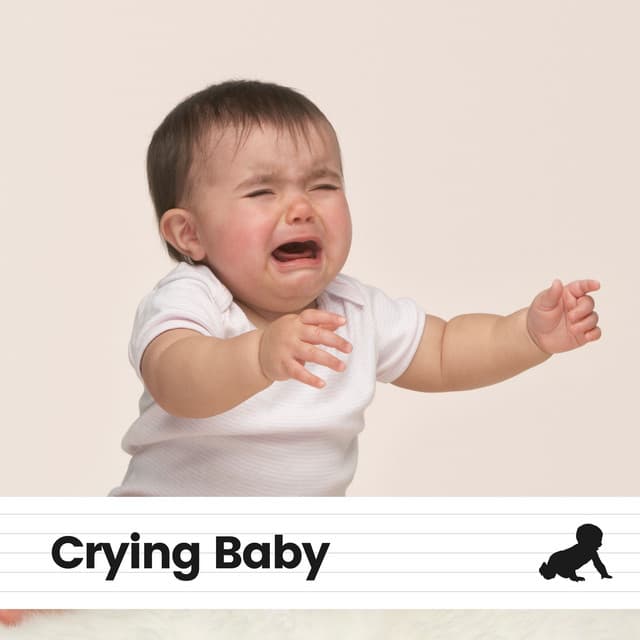 Crying Baby - Baby Lullaby & Baby Lullaby