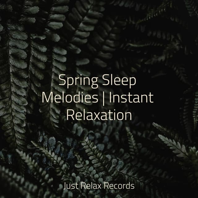 Spring Sleep Melodies | Instant Relaxation - Deep Sleep Meditation