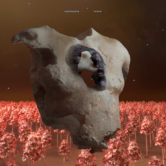 TORSO - Soap&Skin
