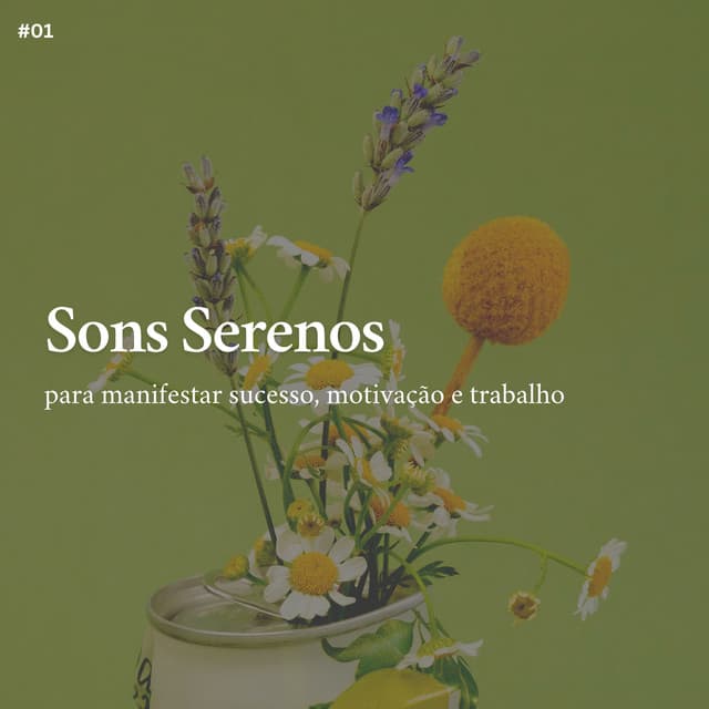 * Sons Serenos para manifestar sucesso, motivação e trabalho * - Ruído Ambiente