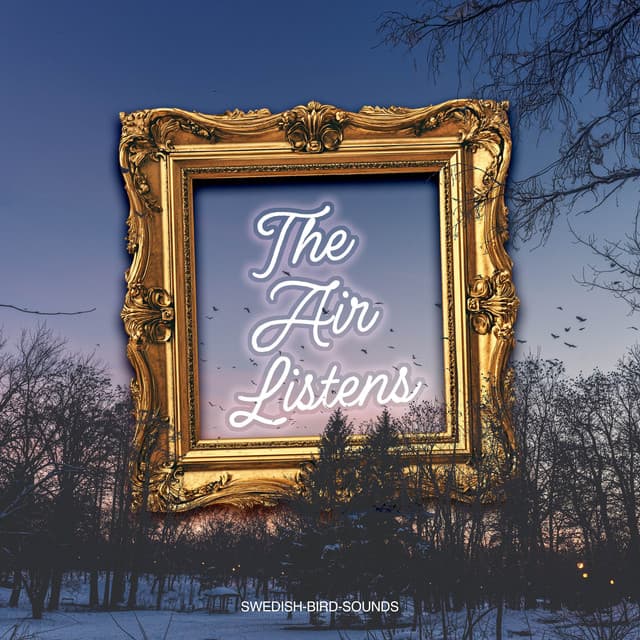 The Air Listens - Swedish-Bird-Sounds