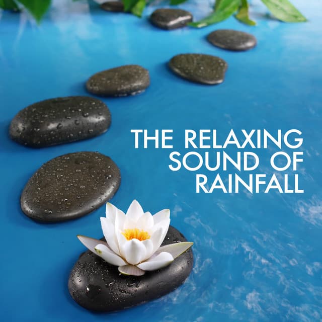 The Relaxing Sound of Rainfall - Relaxing Sounds Of Nature