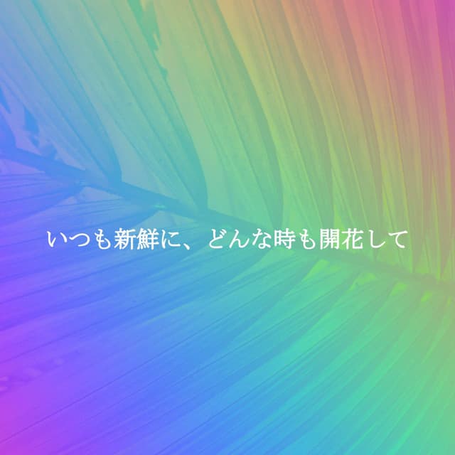 いつも新鮮に、どんな時も開花して - Piano Jazz Bar