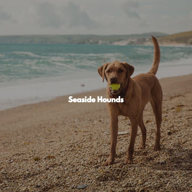 Seaside Hounds - Sleepy Jazz