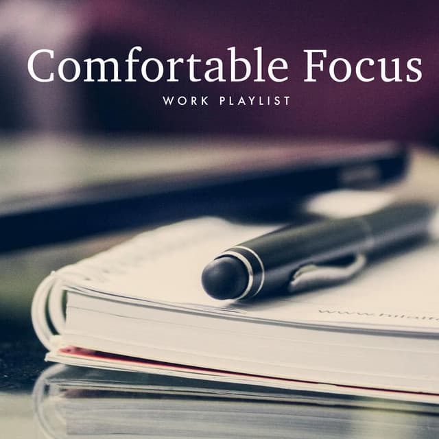 Comfortable Focus - Work Playlist