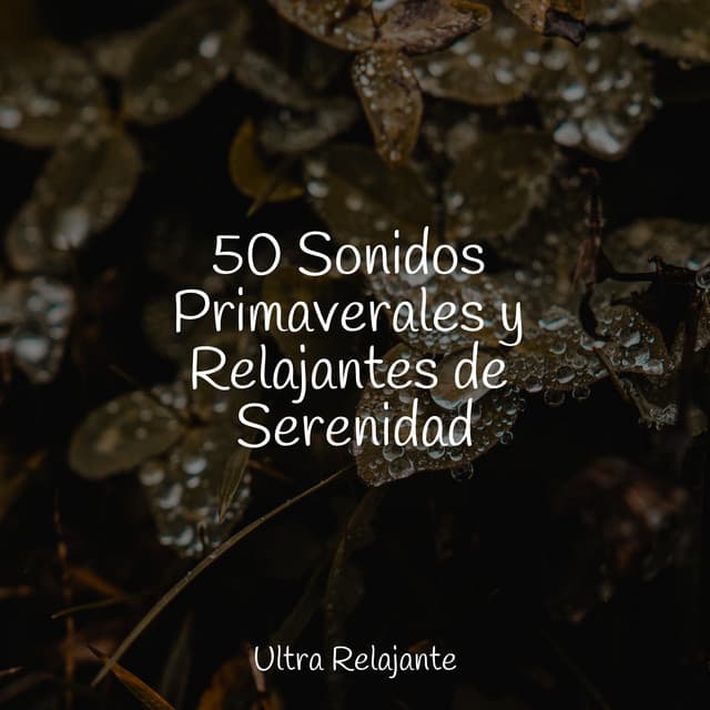 50 Sonidos Primaverales y Relajantes de Serenidad - Meditação Yoga