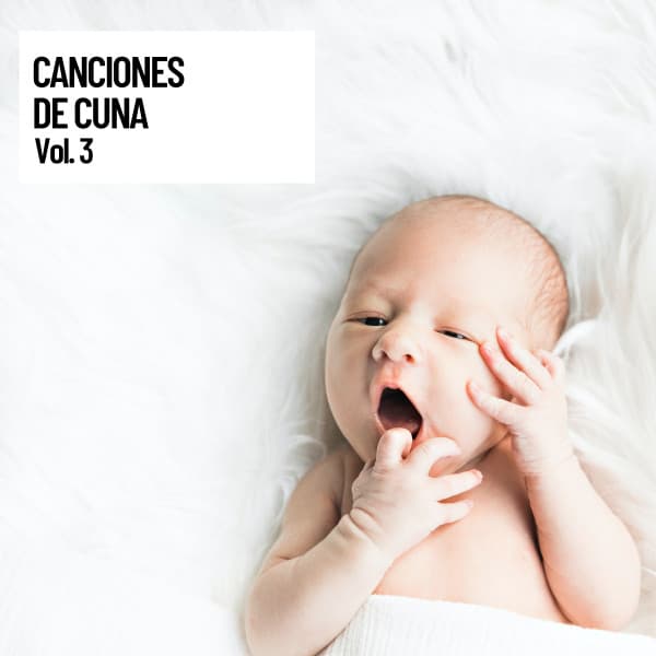 Canciones de cuna, Musica para dormir bebes connectar con lo mas bello - Lluvia en el Bosque