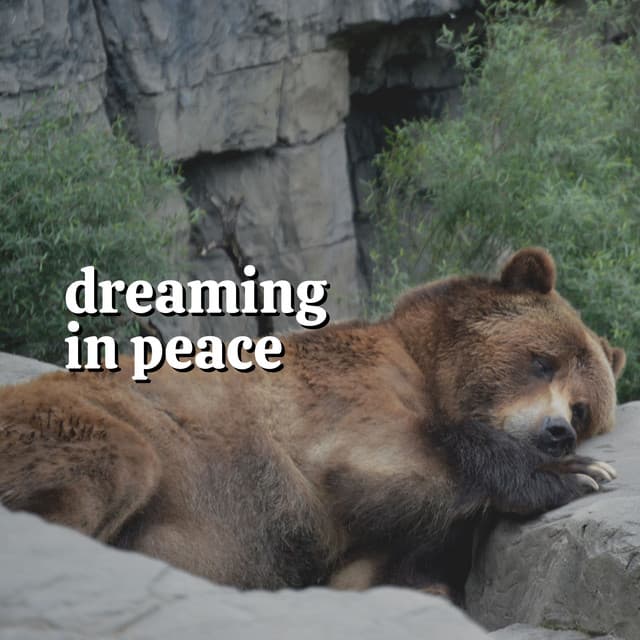 Dreaming in Peace - Sleep Meditation