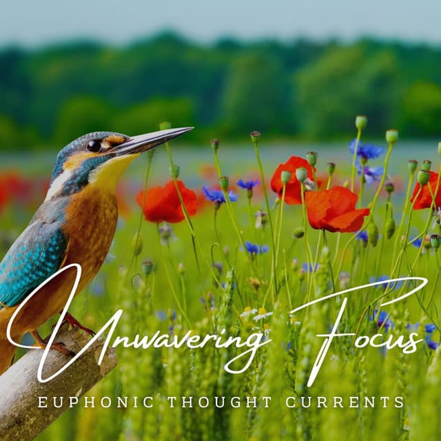 Transcendental Mindscapes: Harmonies for Unwavering Focus - Pure Dust Noise