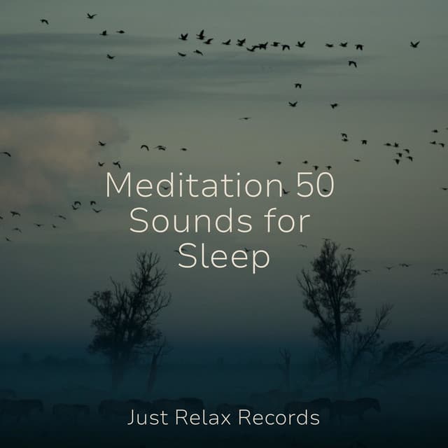 Meditation 50 Sounds for Sleep - Musica para Dormir Dream House