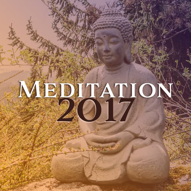 Meditation 2017