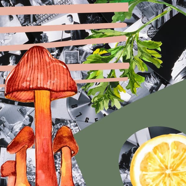 Backdrop for Forgetting Fusions - Lofi Matt