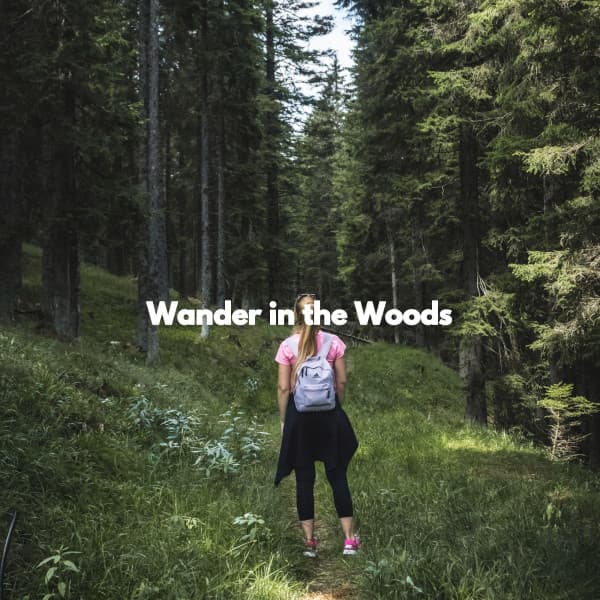 Wander in the Woods - Música para Concentrarse