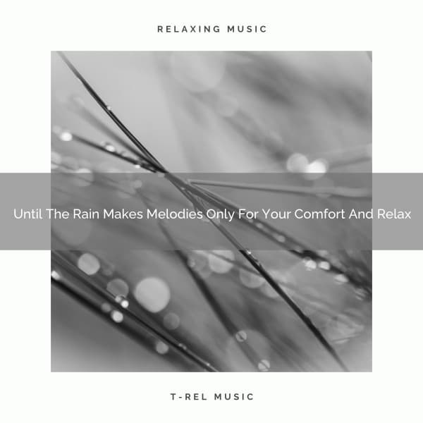 Until The Rain Makes Melodies Only For Your Comfort And Relax - White! Noise