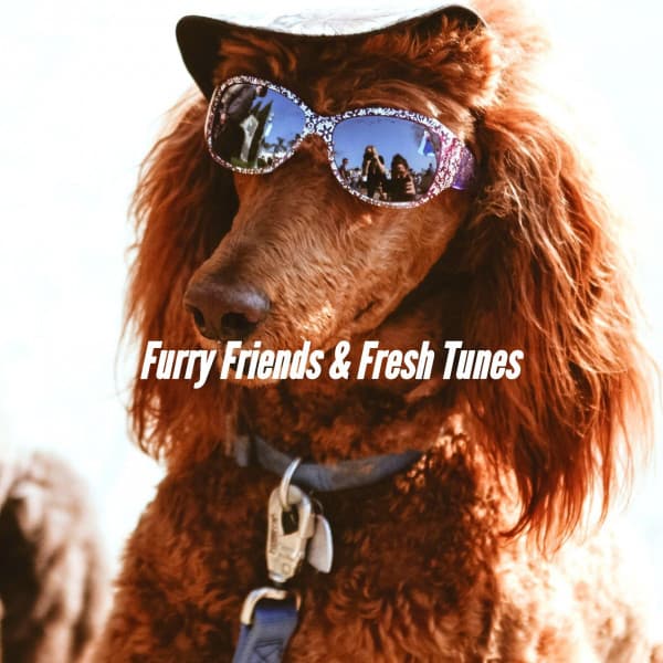 Furry Friends & Fresh Tunes - Relaxation Music For Dogs