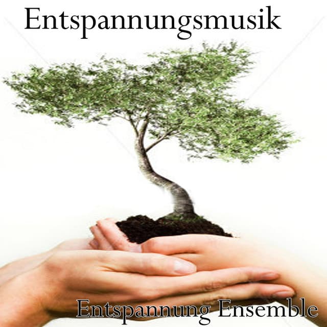 Entspannungsmusik - Entspannung Ensemble