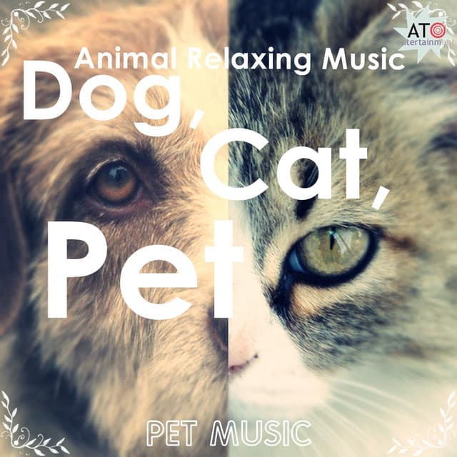 Dog, Cat, Pet Animal Relaxing Music - Pet Music