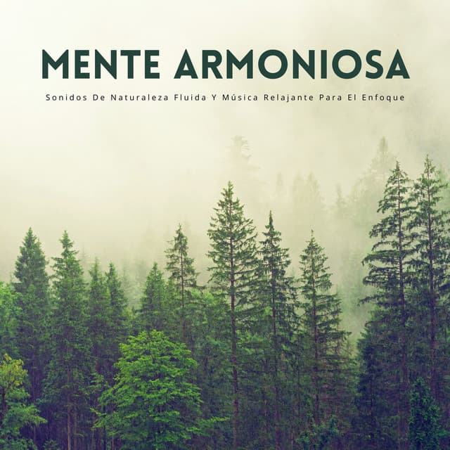Mente Armoniosa: Sonidos De Naturaleza Fluida Y Música Relajante Para El Enfoque - Radio Naturaleza 1